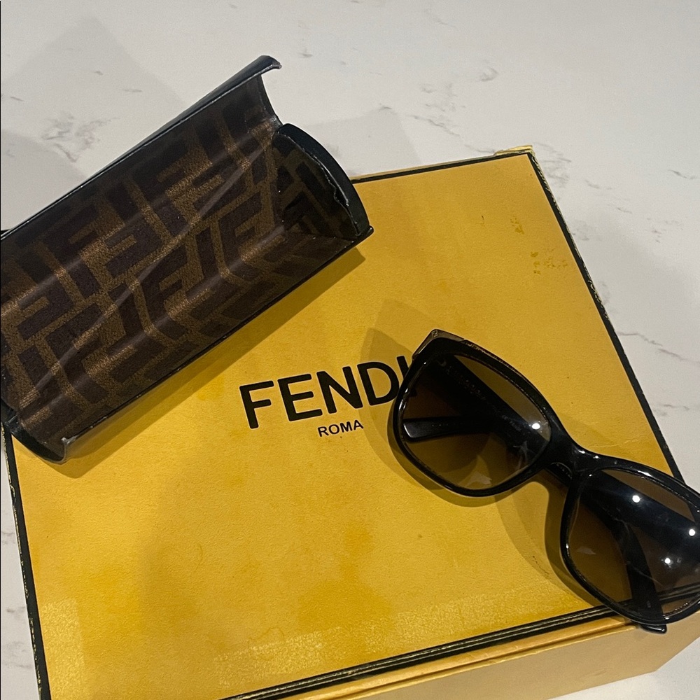 Fendi Black and Brown Sunglasses